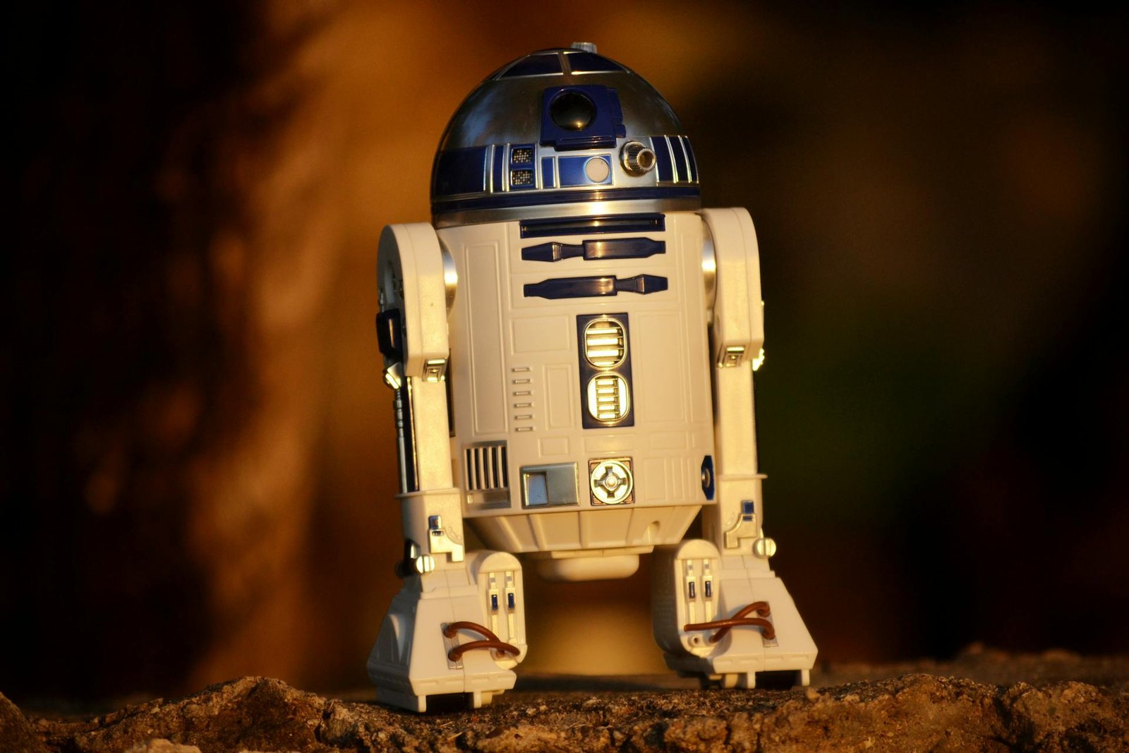 Can We Teach Robots to Explain Themselves? Why It Matters